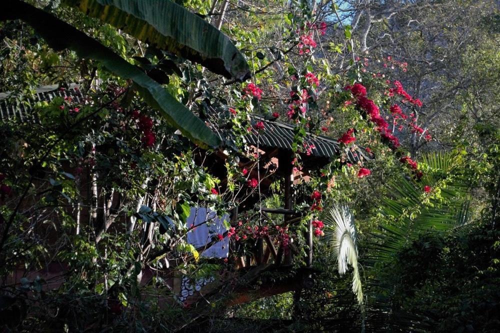 Mariri Jungle Lodge Алту-Параизу-ди-Гояс Экстерьер фото